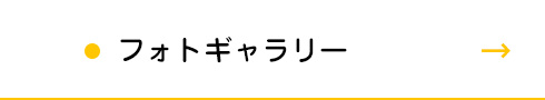 フォトギャラリー